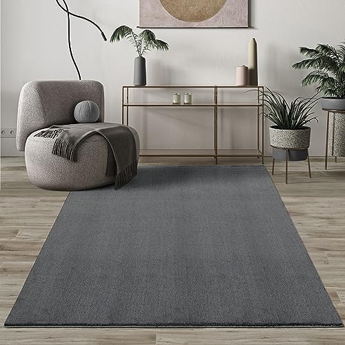Mia's Teppiche Comfort Tapis Moderne Moelleux à Poils Courts, Dessous antidérapant, Lavable à 30 degrés, Super Doux, Aspect Fourrure, Anthracite, 160 x 160 cm
