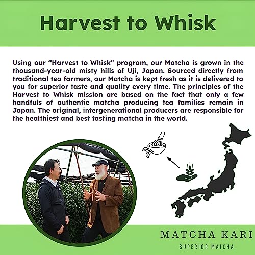 Dr. Weil Matcha Kari Ceremonial Organic Matcha Green Tea Single