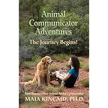 Amunicator Adventures: The Journey Begins!