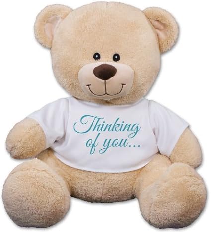 teddy bear you can get in