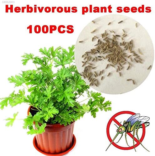 SEEDS PACAKGE: FE Mzie er Seeds Mosquito Repelling s Seeds Riddex Seeds Seeds