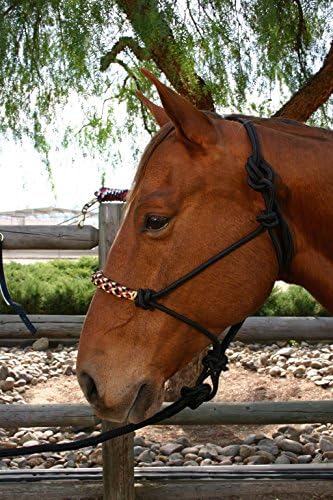 Kensington Nylon Cord Rope Halter Set with Braided Nose Band and Snug Fit for Added Control —  Matching 12 Foot Cowboy Lead Rope with Leather Popper