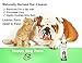 Dog Ear Cleaning Solution - Removes Dirt, Ear Wax and Odor - Great For Itchy Dog Ears - All Natural Dog Ear Wash - Soothing & Effective Pet Ear Cleaner