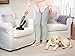 Electrolux Ergorapido PetCare EL3230A Stick Vacuum, Satin White