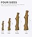 Petstages Dogwood Durable Dog Chew Toy, Medium - Long Lasting Chew Stick Made with Real Wood - USA Made, M