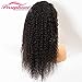Persephone Pre Plucked 360 Lace Frontal Wig 150 Density Curly Brazilian Remy Full 360 Lace Human Hair Wigs with Baby Hair 360 Wig Human Hair for Black Women 16 Inch Natural Color
