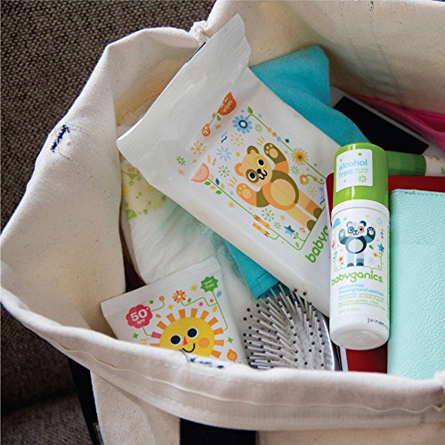 Babyganics Foaming Pump Hand Sanitizer, Alcohol Free, Travel Size, Fragrance Free, Kills 99.9% of Common Bacteria, Moisturizing, 1.69oz (Pack of 6)