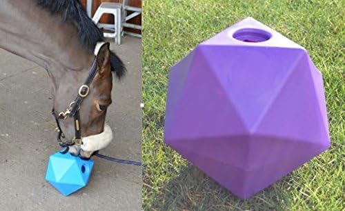 horse treat ball