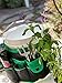 Apollo Tools Garden Tool Organizer with 34 Pockets Fits Any 5 Gallon Bucket. Green/Black - DT0825