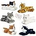 Kitty Cat Plush, Set of 6 Mini Flopsies - Molly, Sugar Too, Maynard, Lily, Esmeralda, Sunshine Tabby with Drawstring Backpack and Gift Tag from J4U Gifts