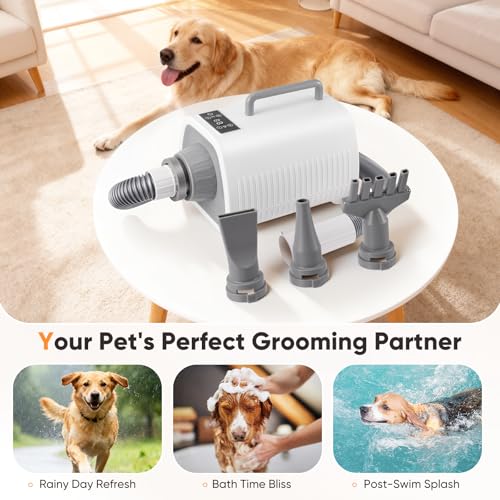 Asciugacapelli per Cani, Potente soffiatore per cani con Velocità e Temperatura Regolabili, 3 Ugelli, Tubo Flessibile, Schermo LCD, Asciugatore per Cani e Gatti di Tutte le Taglie