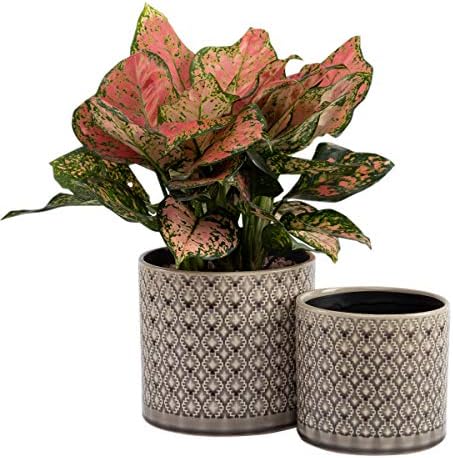 KYY Ceramic Planters Garden Flower Pots 6.5" and 5.5" Set ...