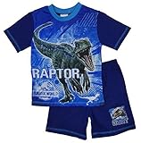 Jurassic World Park Older Boys Pyjamas Shorts T-Shirt Sets 4-5 to 9-10 Years (Blue, 5-6 Years)