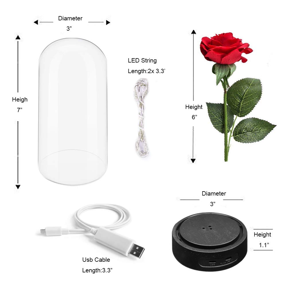 ucho Deluxsa Beauty and The Beast Rose,Enchanted Rose Lamp with Petals & LED Light,Last Forever Rose for Home Decor Holiday Party Anniversary Wedding