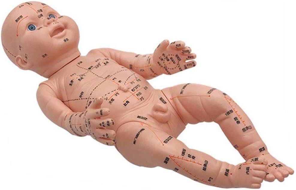 SHUAI 52Cm Mannequin Baby, Acupoint And Trigger Point Therapy Mold for Babies,Baby Reflex Zone Model Acupuncture Model, Chinese Language TCM Reflexology