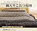Kotatsu thick blanket 