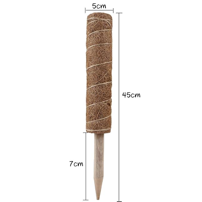 Warooma - Bastón de tótem de Fibra de Coco apilable para Plantas ...