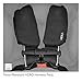 RECARO 2015 Performance Coupe Infant Seat, Onyx