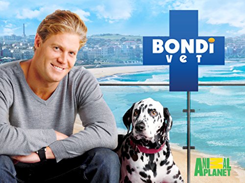 Bondi Vet Season 1