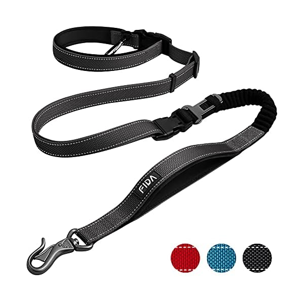 easy dog leash