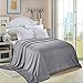 Balichun Luxury 330 GSM Fleece Blanket Super Soft Warm Fuzzy Lightweight Bed or Couch Blanket Twin/Queen/King Size(Queen,Grey)