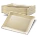 DECORAT PLASTIC PLATES / DINNER PLATES | 11.75 Inch Ivory Party Plates - 20 Pack | Rectangle Disposable Plates | Elegant & Fancy Heavy Duty Party Supplies Plates for all Holidays & Occasions