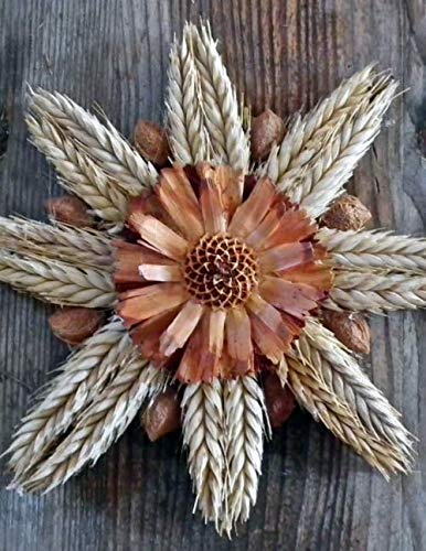 Notebook: Harvest Festival Scenery Ornaments Corn 8.5