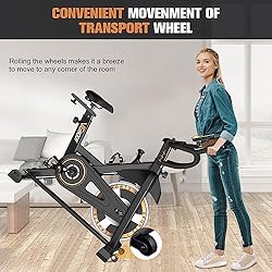 Indoor Cycling Bike Stationary, VIGBODY Exercise