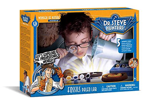 Unbekannt Geoworld 625352 – Dr. Steve Hunters Fossils Paleo Lab 5 Fossils – Age 6 +