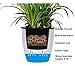 5 Pack Lazy Hanging Plant Pots with Silver Hooks - Self Watering, Suitable for Succulents and Small Flowers (Black and Grey)