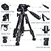 Mini Tripod - Camopro Portable Desktop Mini Tabletop Tripod for SLR DSLR Camera iPhones Smartphones Spotting Scope Binoculars and Camcorder with 3-Way Head, Quick Release Plate and Carrying Bag