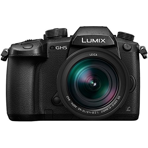 Panasonic-Lumix-DC-GH5-Wi-Fi-4K-Digital-Camera-12-60mm-f28-40-Lens-with-128GB-Card-Backpack-Flash-Video-Light-Battery-3-Filters-Kit