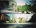 Holga 120 Wide Angle Pinhole Camera