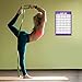 Avocadu Yoga Poses for Back and Neck Pain with 6' Yoga Strap Included- Premium 16