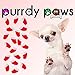 Soft Nail Caps For Dog Claws Santa's Cap * Purrdy Paws Brand (XXL)