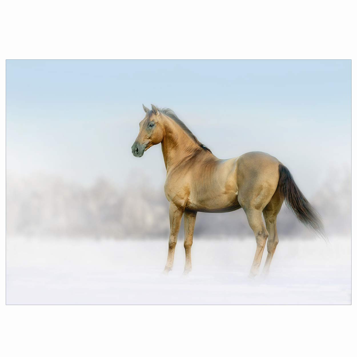 2 for 1 Equestrian Greeting Cards, Bay Horse in Winter Landscape