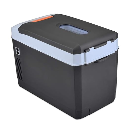 Nevera Coche portatil Mini refrigerador Temperatura Ajustable ...