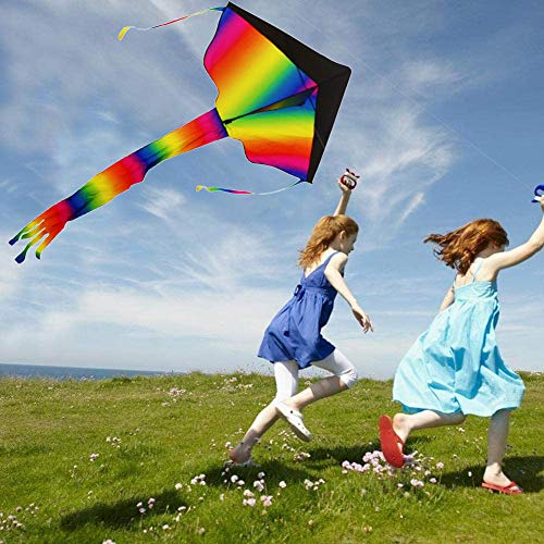 Koogel Drachen, Regenbogen Drachen Flugdrachen für Kinder und Erwachsen mit langem Schwanz und 50m Drachenschnur, 120 x 60 cm
