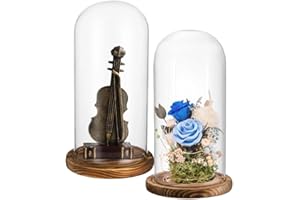 Guoguiming 2 Pack Glass Cloche Display Dome, Decorative Bell Jar, Clear Glass Dome Showcase with Dark Brown Wooden Base, for 