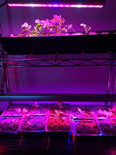 LED Grow Light, 108W Waterproof 45 inches Growing Light bar with UV/IR/Red/Blue Spectrum for Garden Greenhouse Hydroponic Indoor Plants Growing by LIGHTIMETUNNEL - Thumbnail 6
