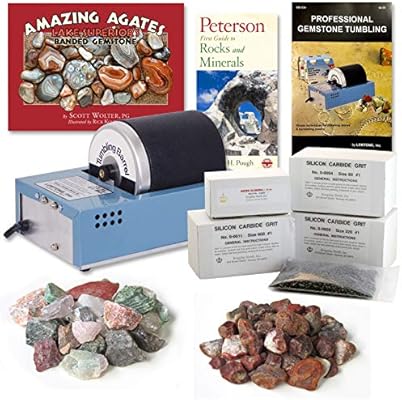 Rock Tumbler Kit For Kids Or Beginners Lortone 3a Rotary Rock Tumbler Starter Kit With Books Amazon Sg Toys Games