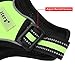 Dog Harness, Itery Adjustbale Non Pull Pet Harness Soft Vest Padded Dog Body Harness with Handle & Reflective Stitching (M, Green)