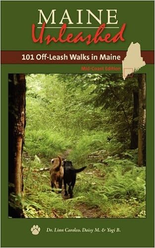 off lead walks near me