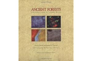 Ancient Forests: A Closer Look at Fossil Wood