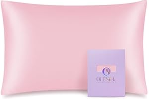 OLESILK 100% Mulberry Silk Toddler Pillowcase for Hair and Skin, Both Sides 19 Momme Pure Natural Silk Travel Pillow Cases with Hidden Zipper, 13"x 18", Pink