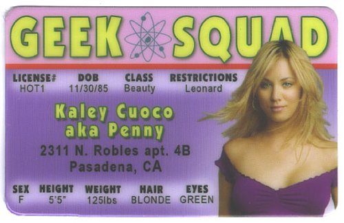 Kaley Cuoco Penny Big Bang Theory Fun Fake ID License