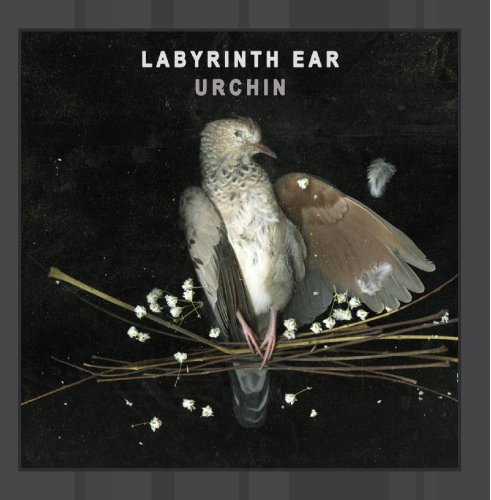 Labyrinth Ear - The Orchid Room - Zortam Music