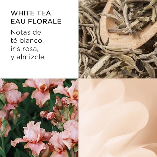 Elizabeth Arden - Chá Branco Eau Florale Eau de Toilette, Perfume Feminino e Delicado, com Notas Florais e Ingredientes Refinados, Perfume Feminino - 100 ml