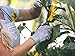 Barebones Living Garden Tool | Scissors, Large