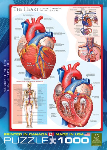 EuroGraphics Human Body (The Heart) Puzzle (1000-Piece)